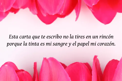 Imagenes y fotos: Poemas de Amor para San Valentin, parte 1