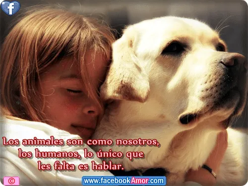 Imagenes con frases de animales para facebook Imagenes Bonitas ...