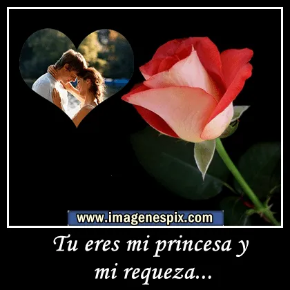 Imagenes con frases facebook | Imágenes de amor : Imágenes de rosa ...