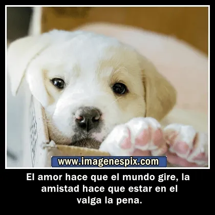 Imagenes con frases facebook | Imágenes de amor : marzo 2013