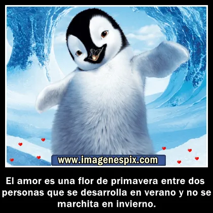 Imagenes con frases facebook | Imágenes de amor : Imágenes de ...
