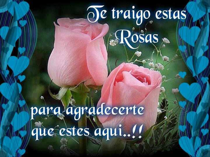 Solo Imagenes, Frases, Fotos y Carteles de Amor ∞ - Flores