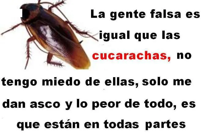 Imagenes • Frases para una mala amiga hipocrita