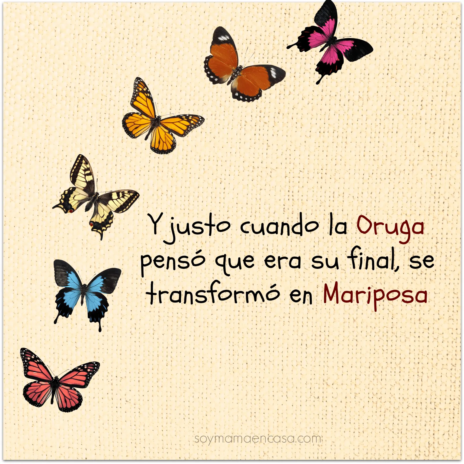 Mariposas con frases - Imagui