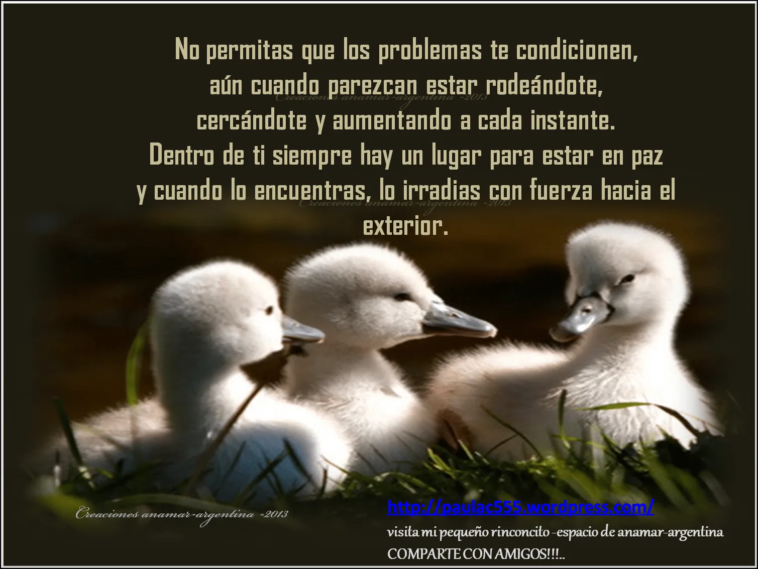 imagenes con frases -pensamientos -positivos -motivadores -anamar ...