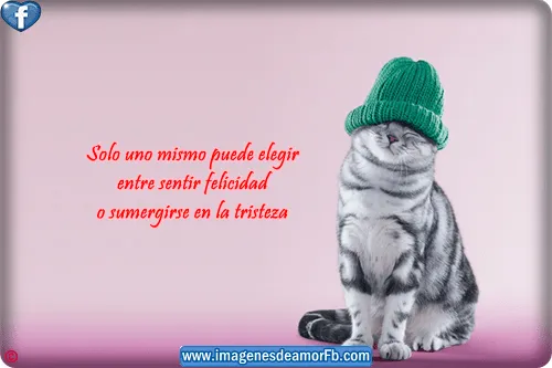 Imágenes con frases de sabiduría ~ Imagenes de amor con frases ...