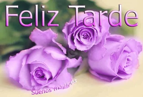 Imágenes con Frases para dar las Buenas Tardes, Feliz Tarde, Linda ...