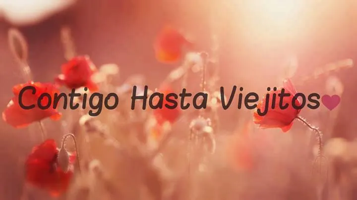 Imagenes Y Frasesitas : Contigo Hasta Viejitos