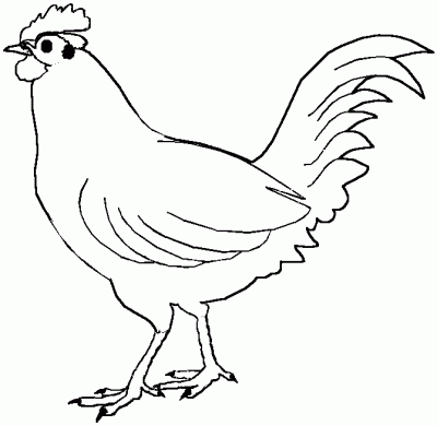 Dibujo de Gallina. Dibujo para colorear de Gallina. Dibujos ...