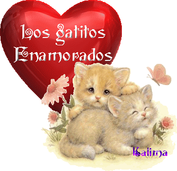 Imágenes de gatitos enamorados | Imagenes Tiernas - Imagenes de Amor