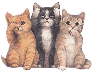 Imágenes gif animadas de gatos ~ Fotos e imagenes graciosas ...