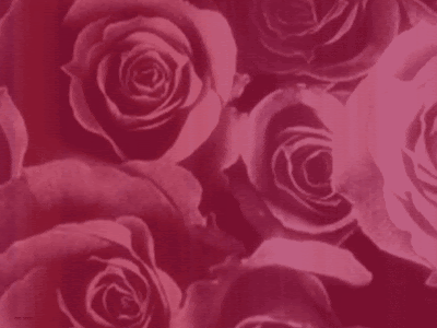 Rosas rojas