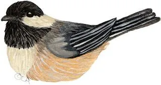 Dibujo de pajaros para imprimir:Imagenes y dibujos para imprimir