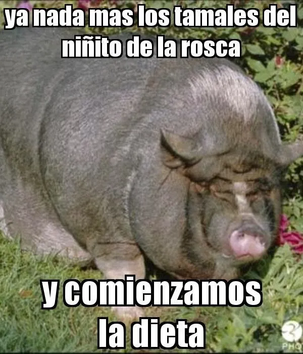 Imágenes de gorditos chistosos - Imagui