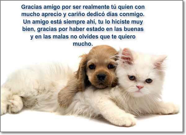 imagenes gratis de amor y amistad - Imagenes de amor