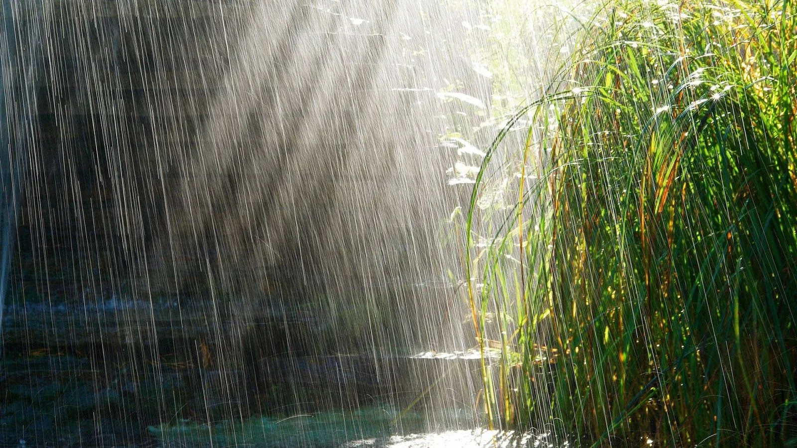 Imágenes Hilandy: Fondo de Pantalla Paisaje Lluvia creada