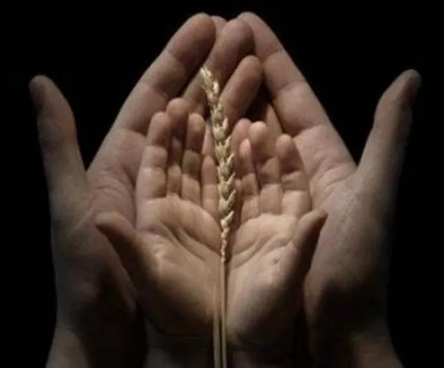 Imágenes de humildad para niños - Imagui