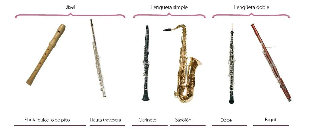 Instrumentos de viento con sus nombres - Imagui