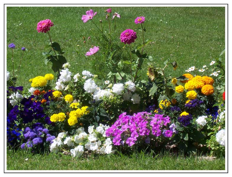 Fotos de jardines con flores - Imagui