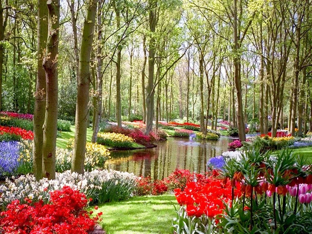 imagenes: jardines hermosos del mundo