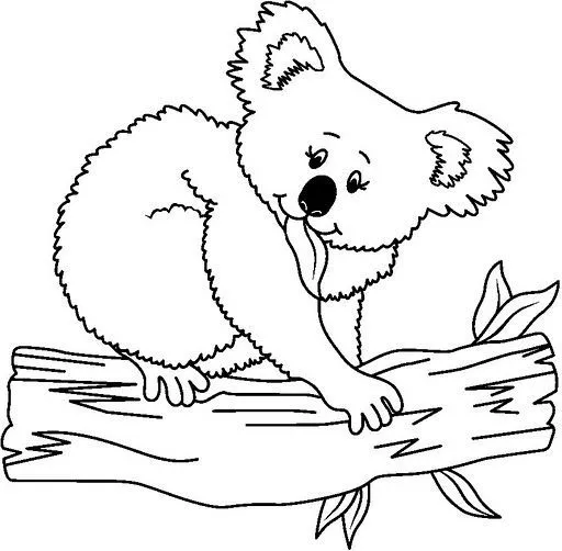 Dibujos de koalas para colorear - Imagui