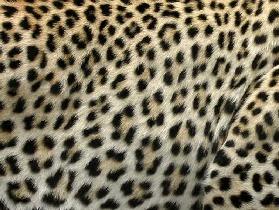 Uñas de leopardo | My personal&fashion world