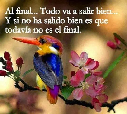 Imagenes lindas: Palabras de animo para mi amiga o amigo