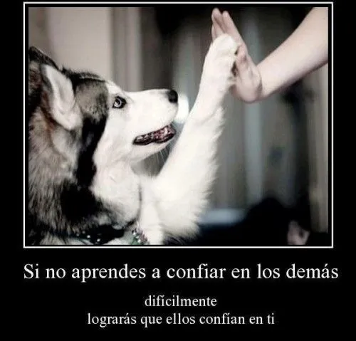 Imagenes lindas y tiernas con frases de amor - Imagui