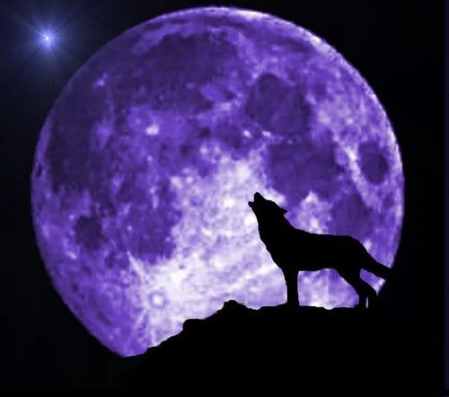 El lobo y la luna