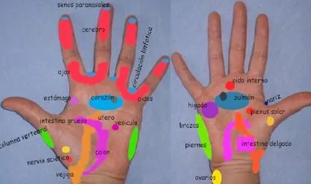 Reflexología de la mano - EANTA