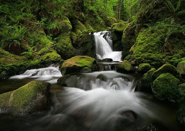 IMÁGENES MARAVILLOSAS: PAISAJES CON RIOS...BONITOS DE VERDAD!