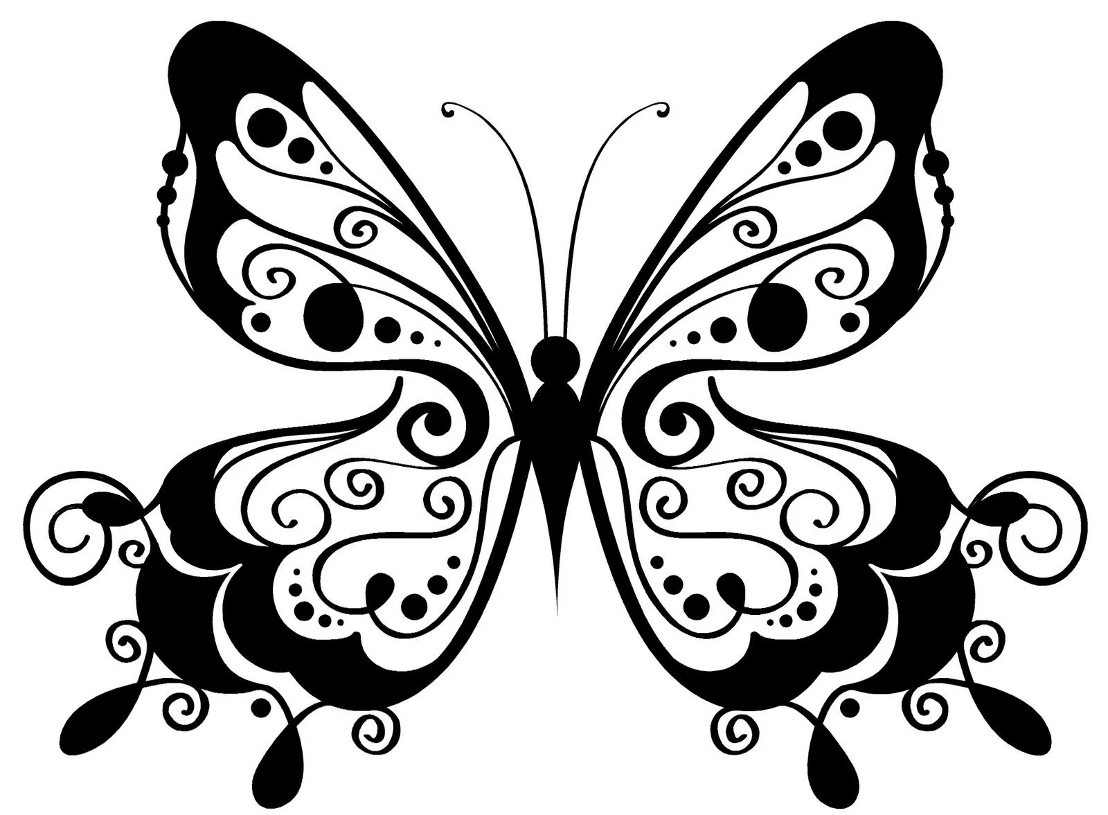 Mariposas en blanco y negro - Imagui