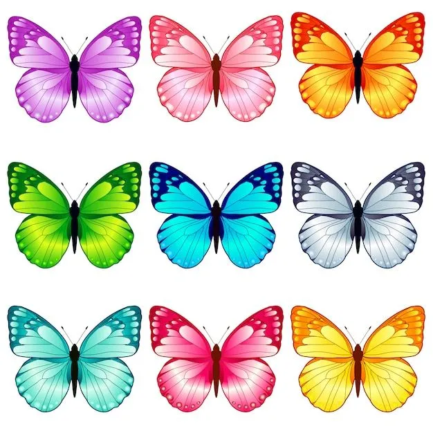 Imágenes de Mariposas De Colores - Descarga gratuita en Freepik