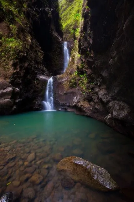 Imágenes de montañas, ríos, cascadas, paisajes y flores | Banco de ...