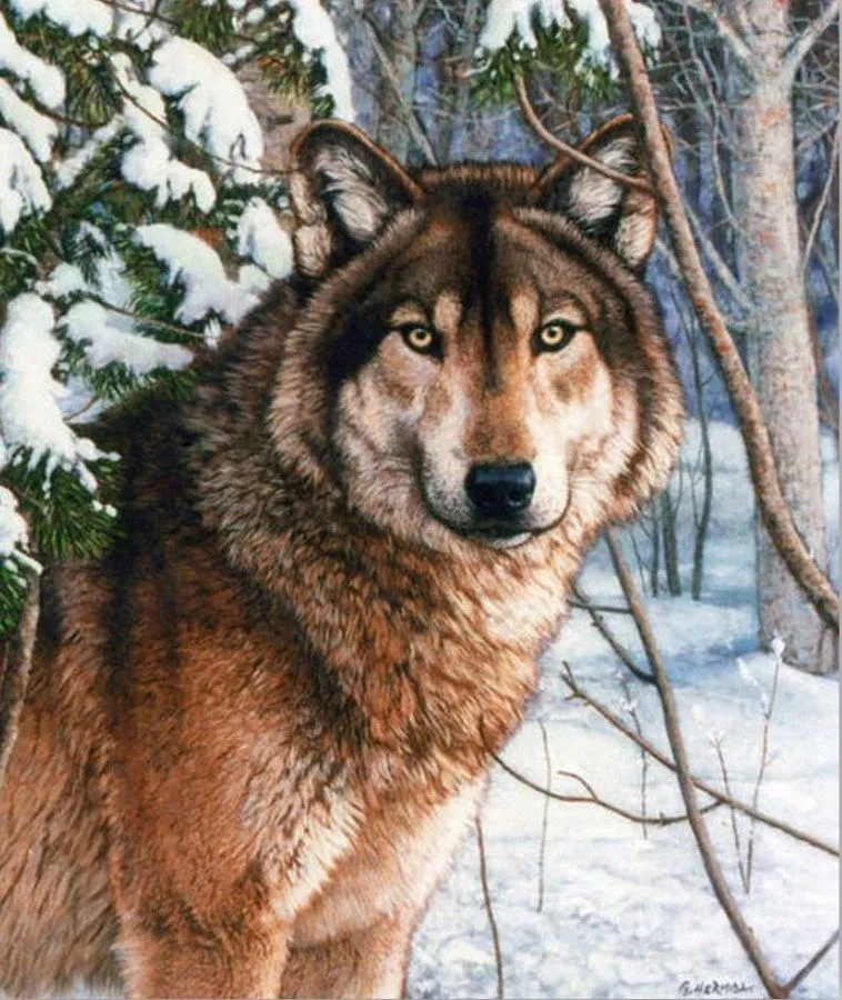 Imágenes al óleo de paisajes con lobos - Imagui