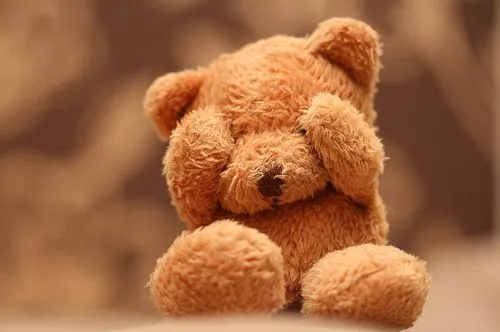 Imagenes • Oso tierno peluche