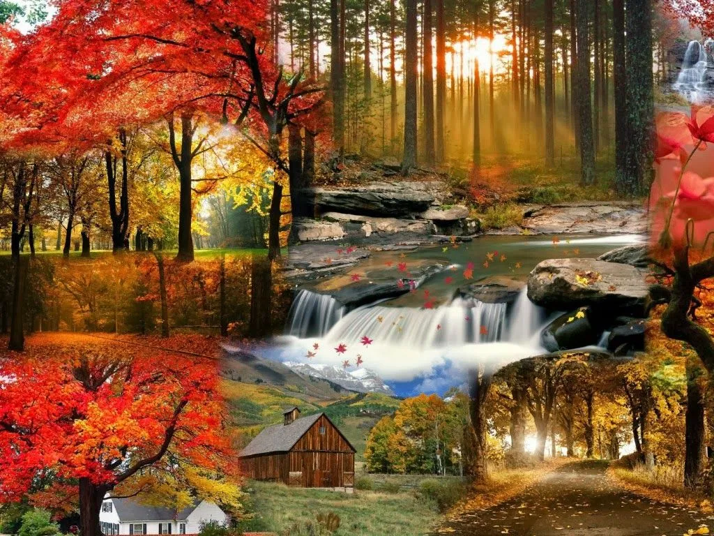 Imágenes de Otoño - Fondos de Pantalla