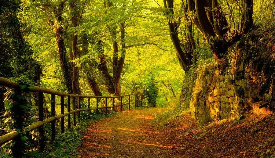 Imagenes de paisajes para compartir en FaceBook - Imagui