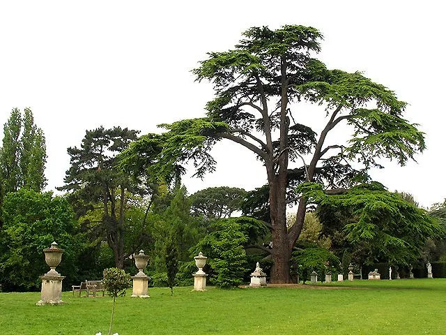 Imagenes de Paisajes: de jardines