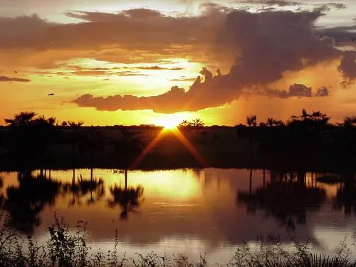 Imagenes de Paisajes: llaneros de venezuela