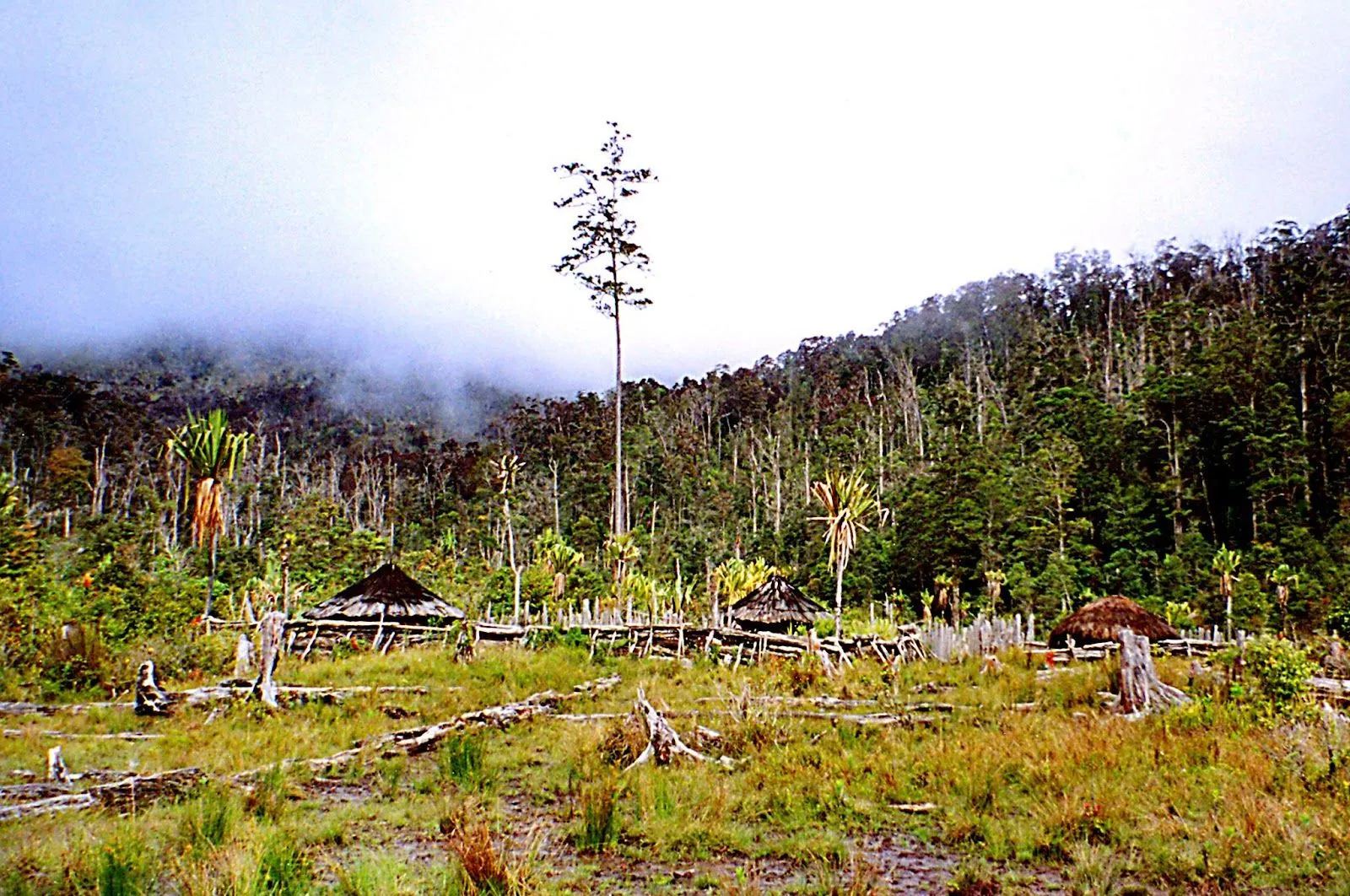 Imágenes Paisajes Naturales de Melanesia en Oceanía ~ Culturas ...