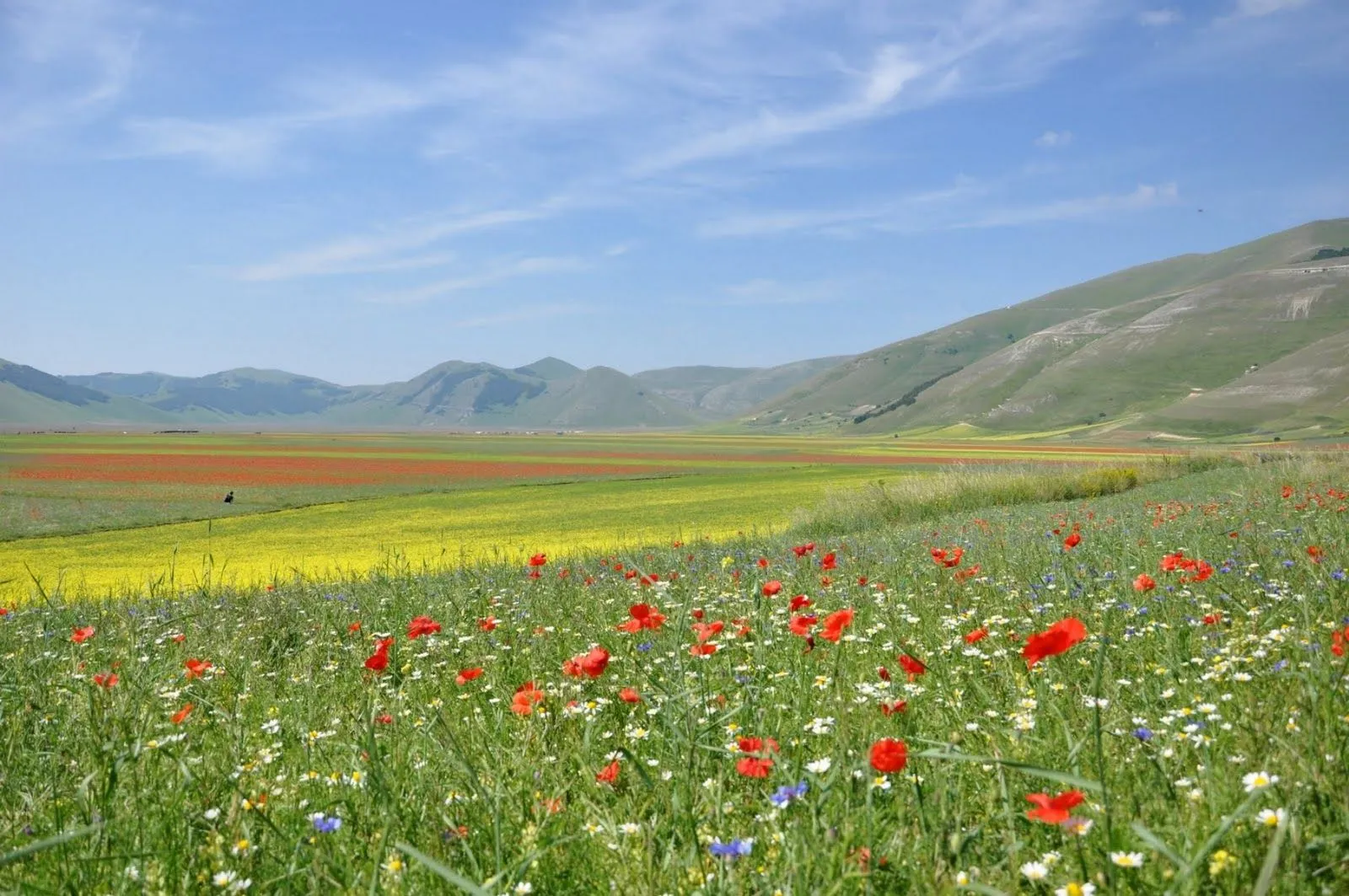 Imagenes de Paisajes: primaverales