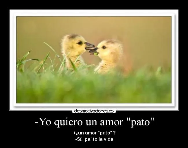 Carteles de Patos Pag. 14 | Desmotivaciones