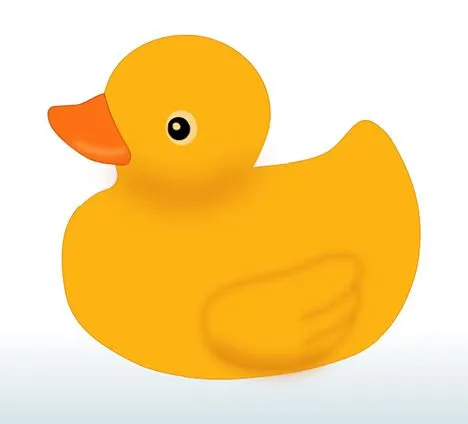 Imagenes de un pato - Imagui