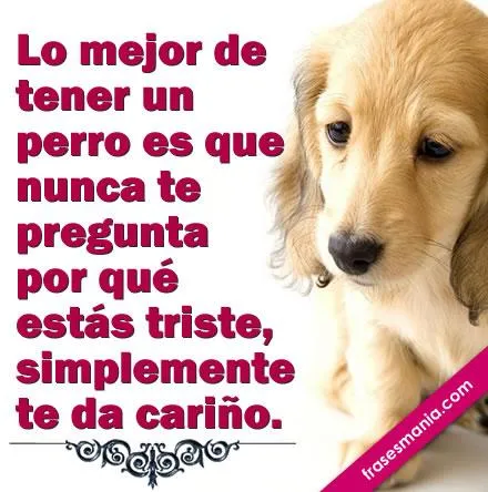 Una frase de perritos - Imagui