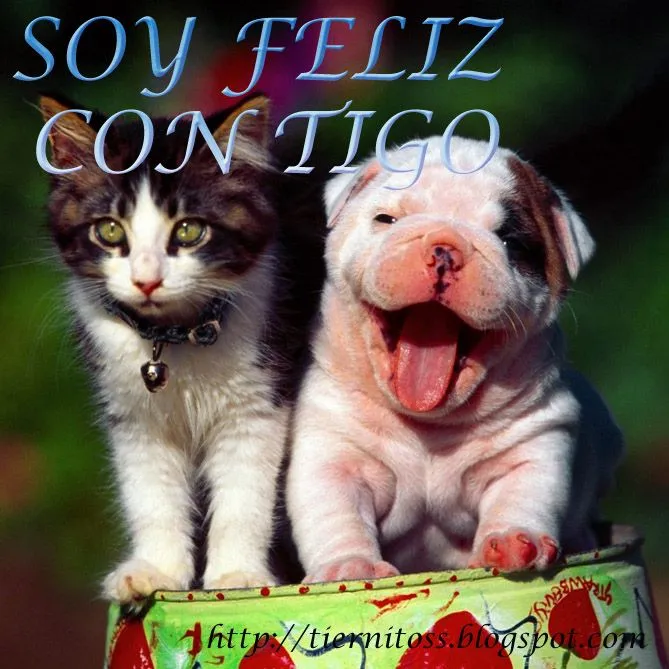 Imagenes de Perritos Tiernos para Facebook Gratis | Tiernitos ...