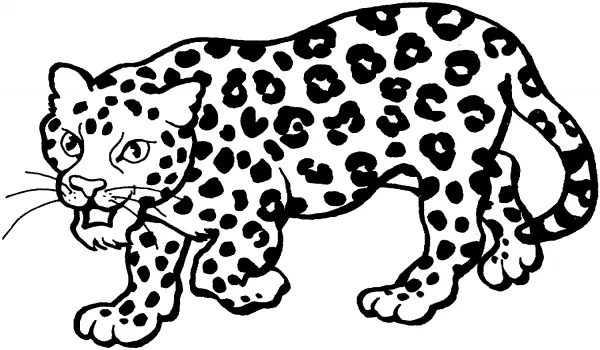 Imágenes para pintar de leopardos | Colorear imágenes