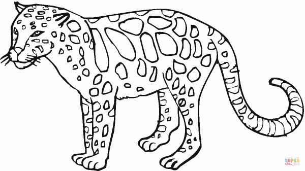 Imágenes para pintar de leopardos | Colorear imágenes