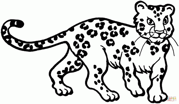 Imágenes para pintar de leopardos | Colorear imágenes