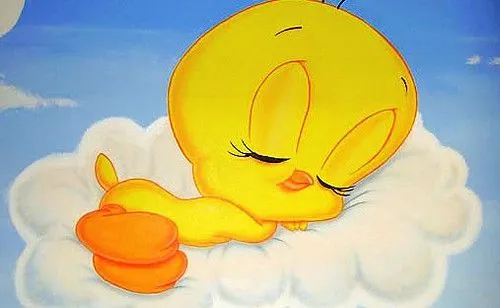 Imagenes de piolin te amo - Imagui